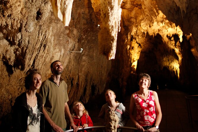 Auckland: Rotorua Māori Village, Waitomo Caves & Lunch - The road to Waitomo and the one-hour cave visit