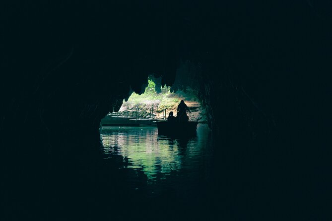 Auckland: Rotorua Māori Village, Waitomo Caves & Lunch - What the $257.54 price includes