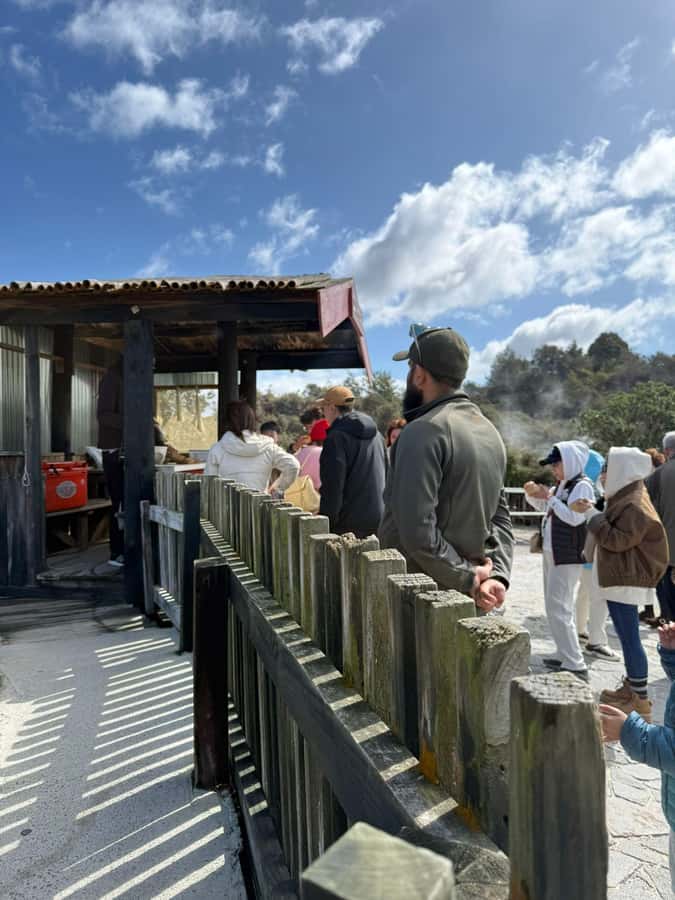 Auckland: Rotorua Māori Village & Waitomo Caves with Lunch - The road to Waitomo