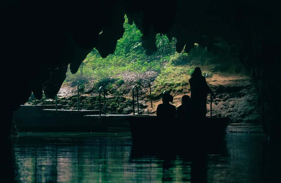 Auckland: Rotorua Māori Village & Waitomo Caves with Lunch - What the $248 price includes