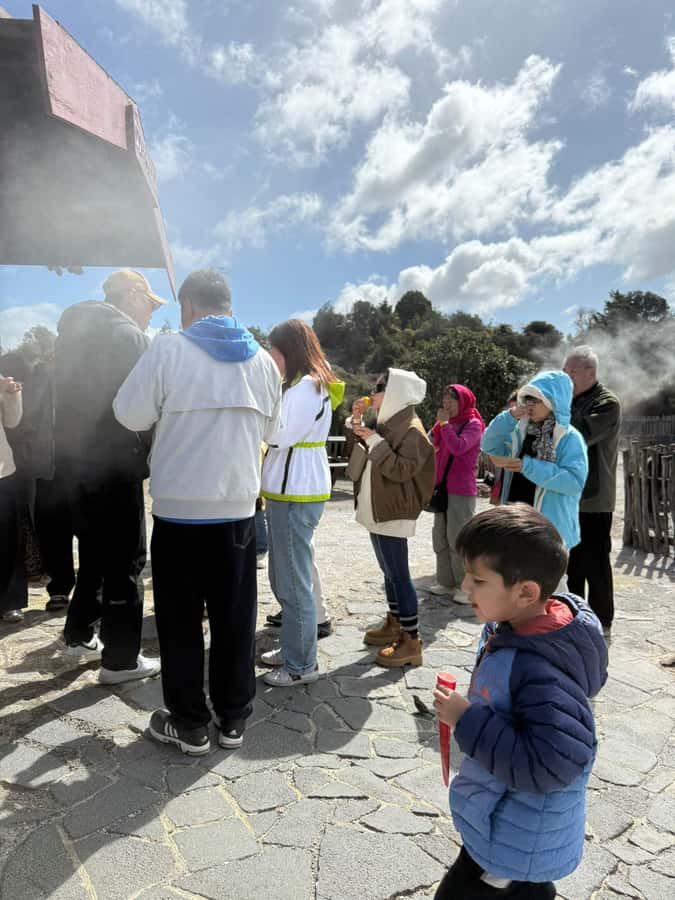 Auckland: Rotorua Māori Village & Waitomo Caves with Lunch - Transport, timing, and group comfort