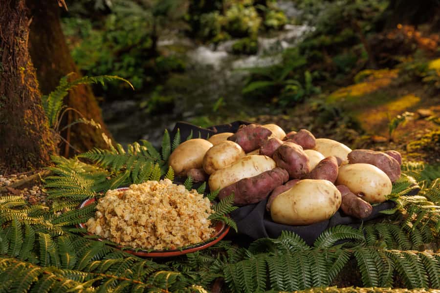 Auckland: Rotorua Tour with Mitai Māori Village & Wai-O-Tapu - Who will get the most from this tour?