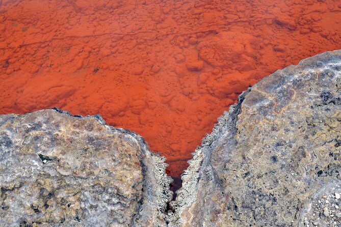 Auckland: Rotorua Tour with Waiotapu, Te Puia and Maori Haka - Is $245.13 fair value?