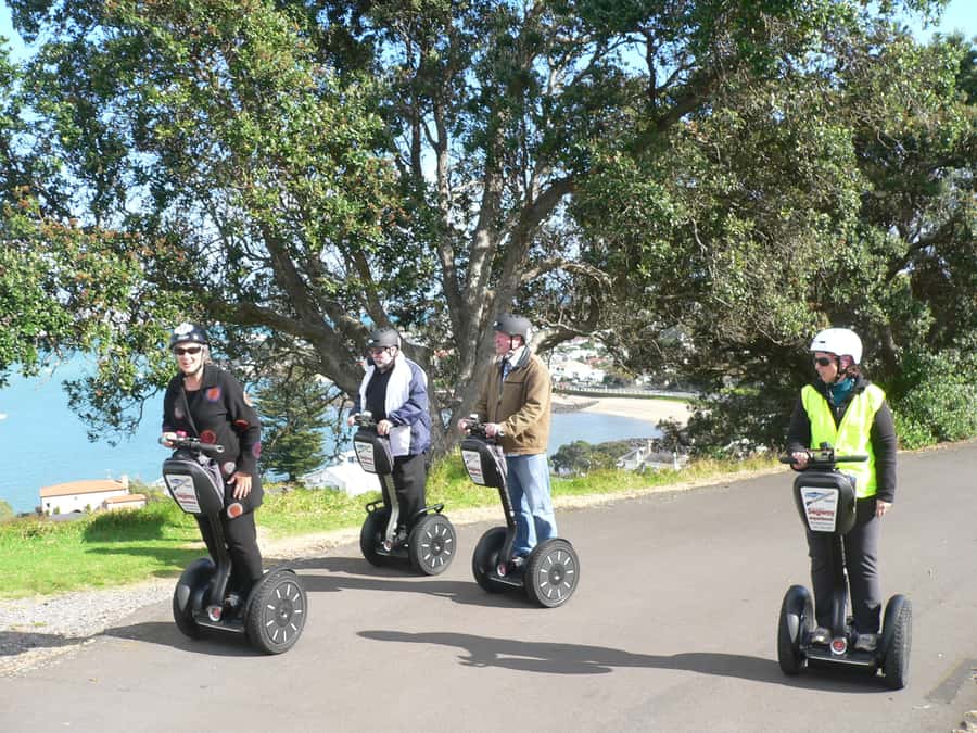 Auckland: Segway to North Head Volcano Summit - Is the small group worth the cost?