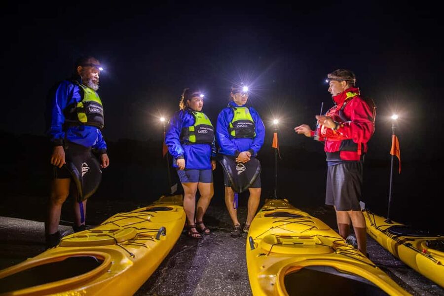 Auckland: Sunset & Night Sea Kayak Tour to Rangitoto Island - Key points to know before booking