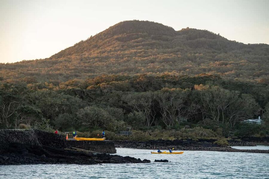 Auckland: Sunset & Night Sea Kayak Tour to Rangitoto Island - What the $138 price gets you