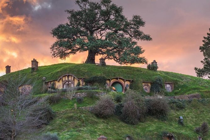 Auckland to Hobbiton Movie Set and Rotorua's Geothermal Valley - Who will get the most from this tour?