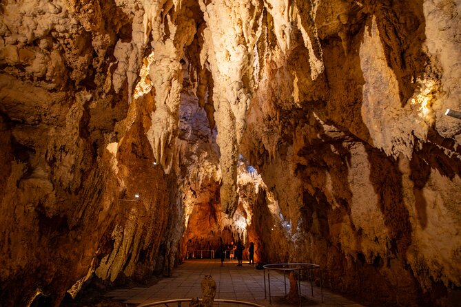 Auckland to Rotorua, Hobbiton and Waitomo 1 Way Small Group Tour - What the $266.23 price really covers