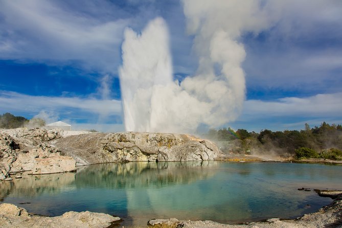 Auckland to Rotorua Private Tour - Key points to know before booking