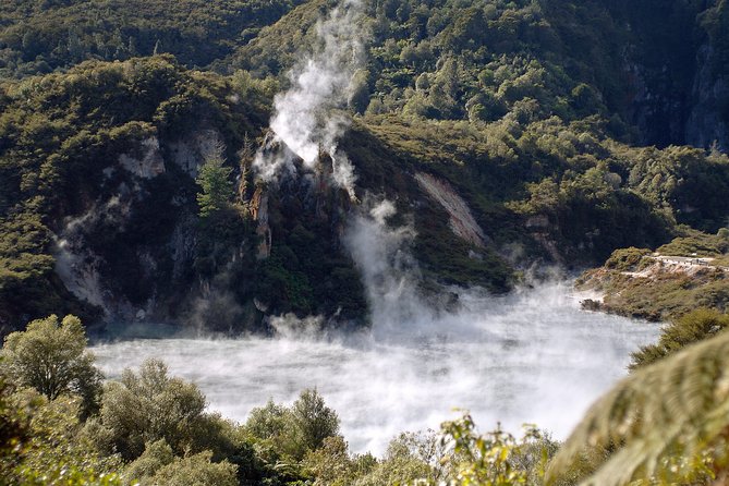 Auckland to Rotorua Private Tour - The long road from Auckland to Rotorua