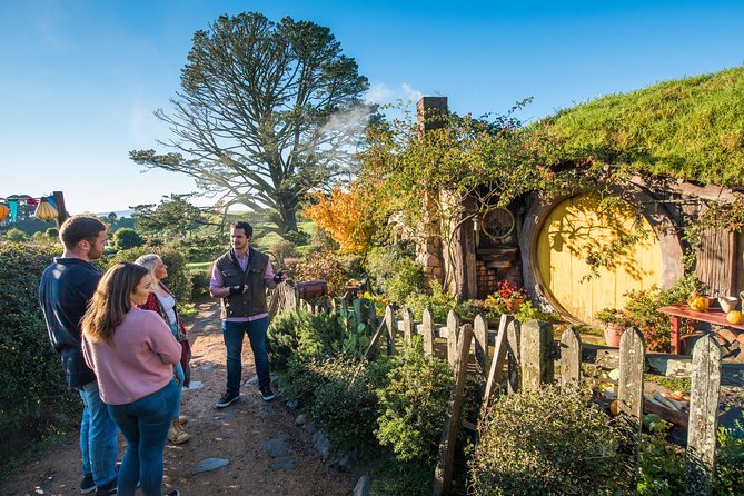 Auckland to Rotorua via Hobbiton Movie Set Tour - One Way - Why this transfer works better than a direct bus