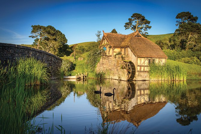 Auckland to Rotorua via Hobbiton Movie Set Tour - One Way - Who should book this Hobbiton transfer?