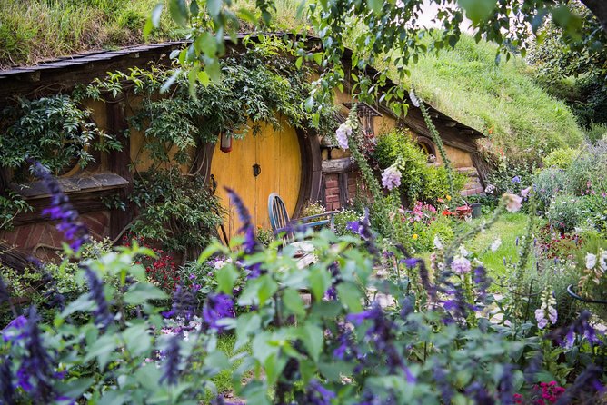 Auckland to Rotorua via Hobbiton Small Group Tour (One Way) - What guides add to the day