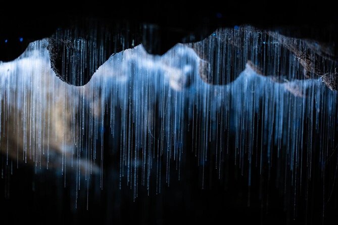 Auckland to Rotorua via Waitomo Caves Small Group Tour (One Way) - A short break in Pirongia