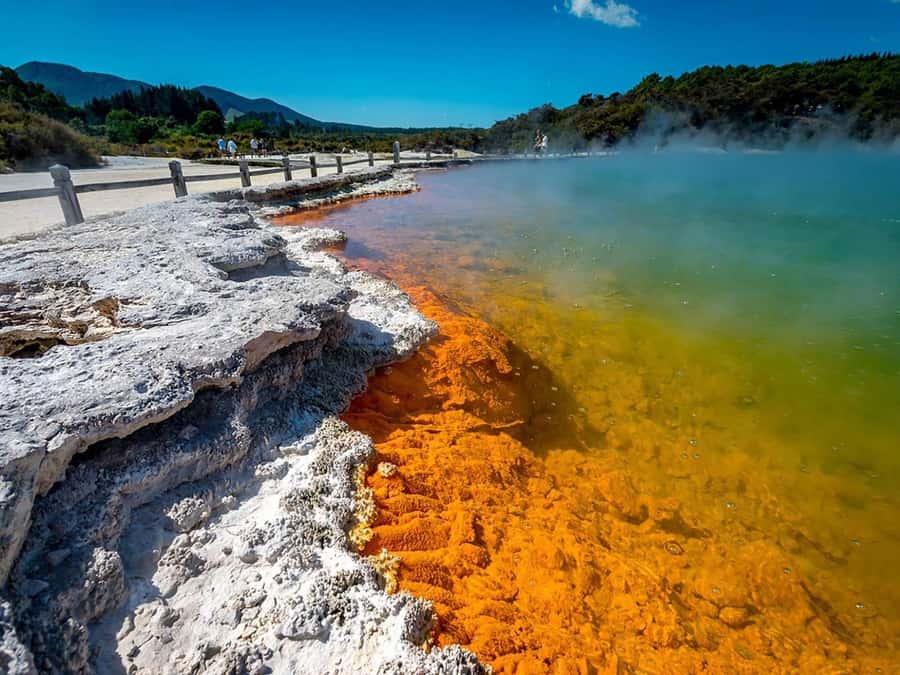 Auckland: Wai-O-Tapu, Maori Haka & Hot Springs Rotorua Tour - Why this Auckland to Rotorua day works