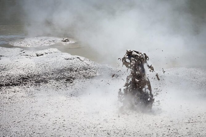Auckland: Wai-O-Tapu, Polynesian Spa & Maori Haka Day Tour - Is $242.02 good value?