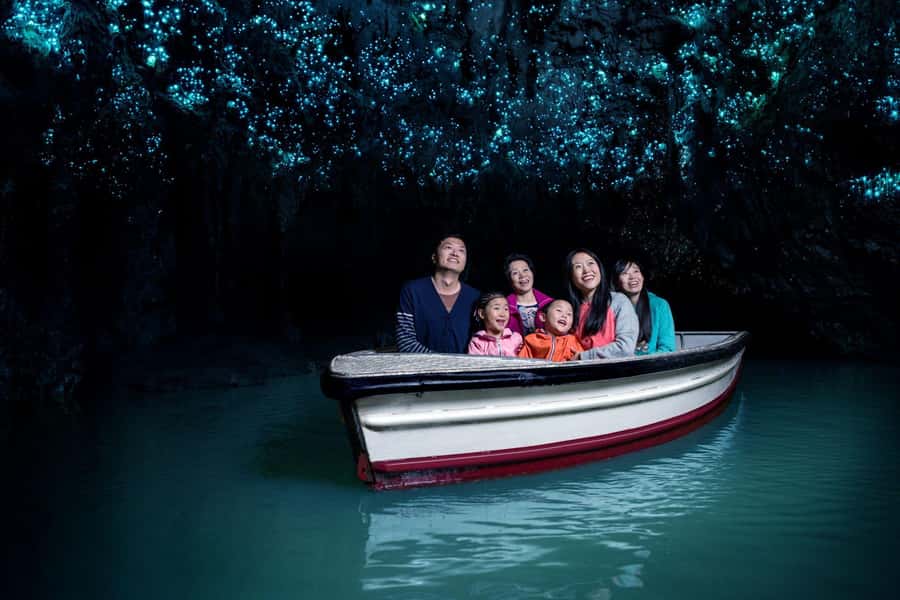 Auckland: Waitomo Caves & Rotorua - Te Puia Small-Group Tour - Why this Auckland day trip works