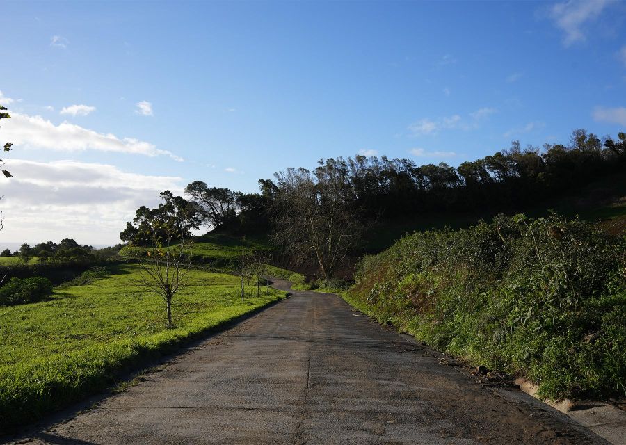 Azores: São Miguel and Lagoa do Fogo Hiking Trip - Key points to know before you book