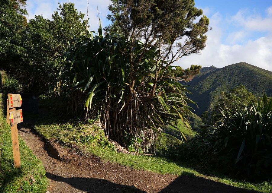 Azores: São Miguel and Lagoa do Fogo Hiking Trip - Reaching the shores of Lagoa do Fogo