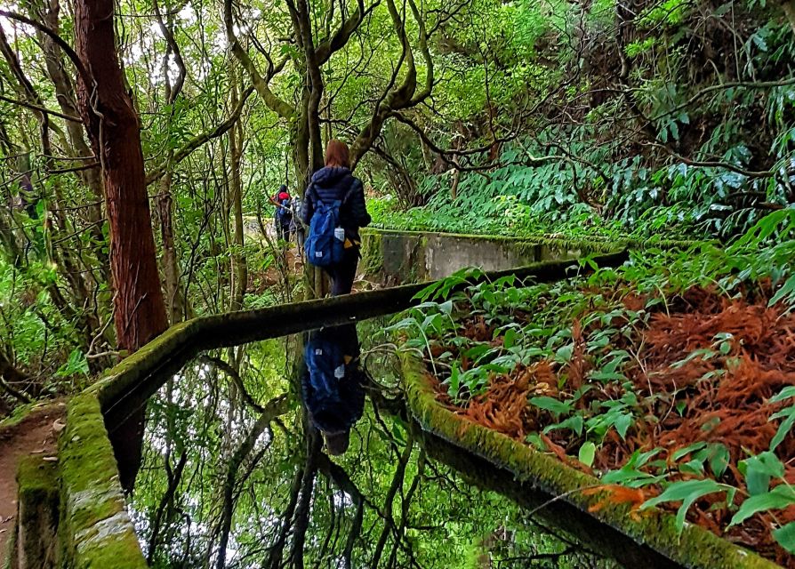 Azores: São Miguel and Lagoa do Fogo Hiking Trip - What the $76 price includes