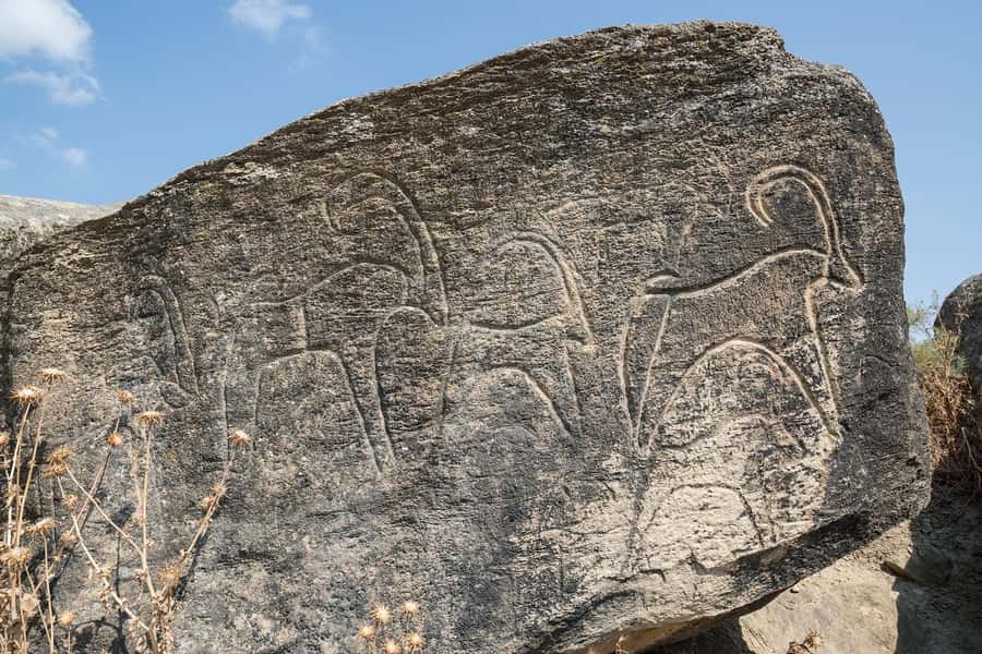 Baku: Gobustan, Mud Volcanoes & Absheron (Group or Private) - Key points to know before booking
