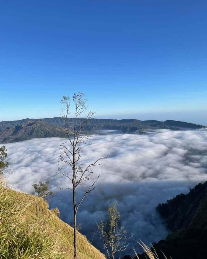 Bali: Caldera Sunrise Trek and Natural Hot Spring - Coffee, cocoa, and the final stop