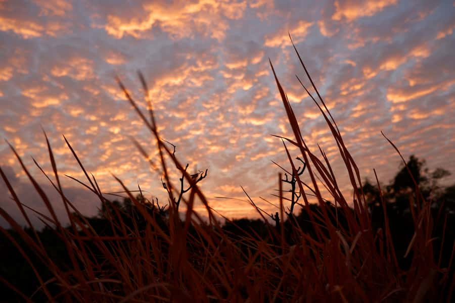 Bali: Mount Batur Entry Ticket on a Guided Hike or Jeep Ride - Choosing between a sunrise hike, day tour, or sunset visit