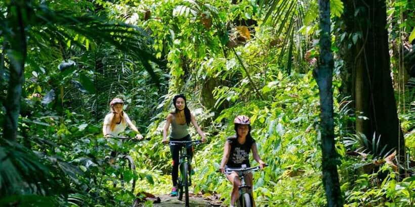 Bali: Mount Batur Mountain Biking Adventure with Lunch - The bikes, safety gear, and riding level