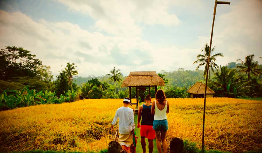 Bali: Mount Batur Sunrise Hike with Breakfast & Hot Spring - Who should book this Mount Batur morning?