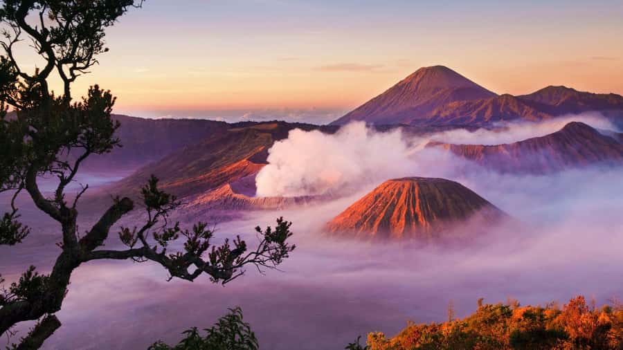 Bali to Yogya: Bromo, Ijen, Tumpak sewu, Prambanan,Borobudur - Day 3: Bromo sunrise by jeep