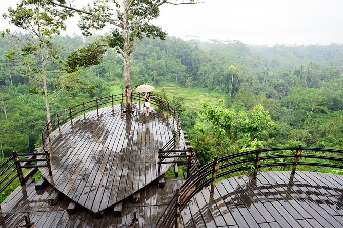 Bali Ubud & Kintamani Volcano Tour -All Inclusive - Lunch comes with rice terrace views