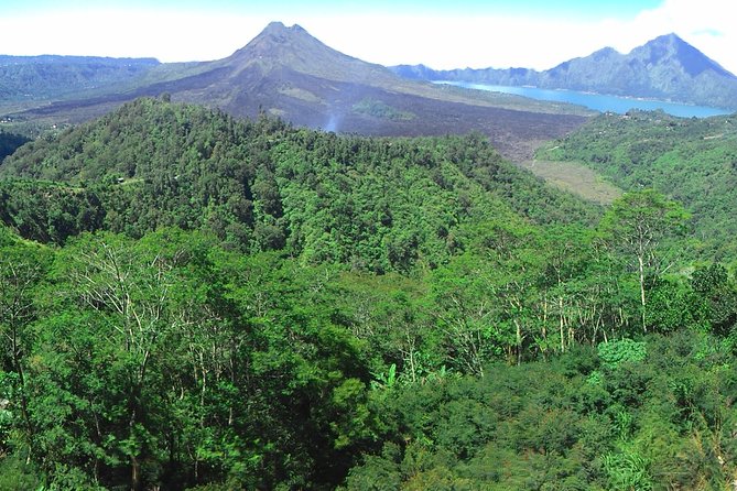Bali Ubud & Kintamani Volcano Tour -All Inclusive - Ubud Monkey Forest is more than a photo stop