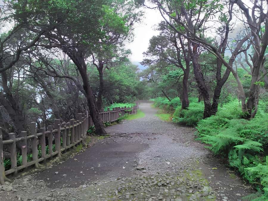 Bandung Tangkuban Perahu Volcano Tours - What $70 includes, and what it does not