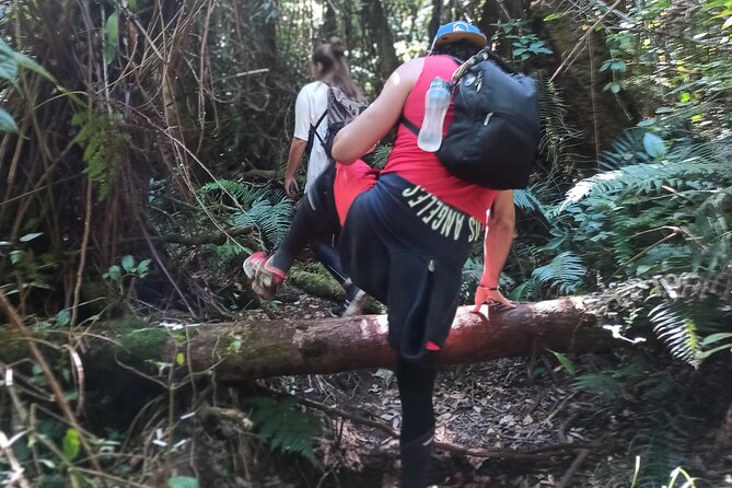 Bandung Tour Volcano, Hotsprings, Mud, Tea, Lunch all Included - Who will enjoy this tour most