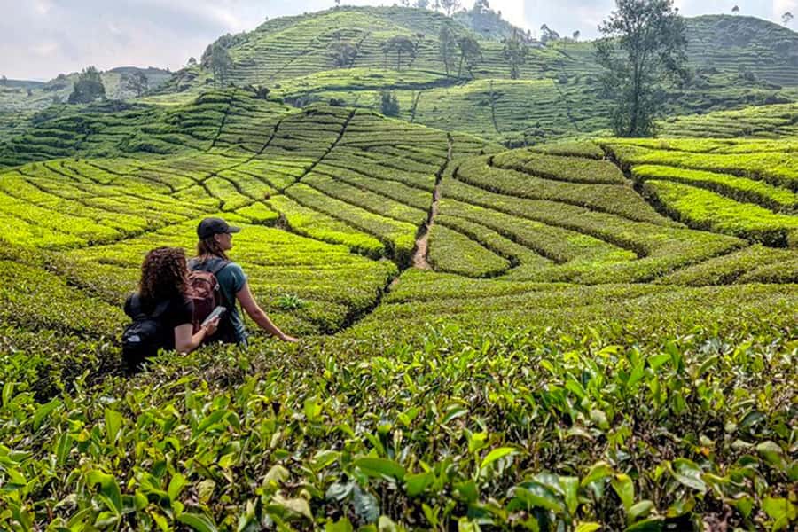 Bandung: White Crater, Scenic Tea Plantations & Hot Spring - Key points at a glance