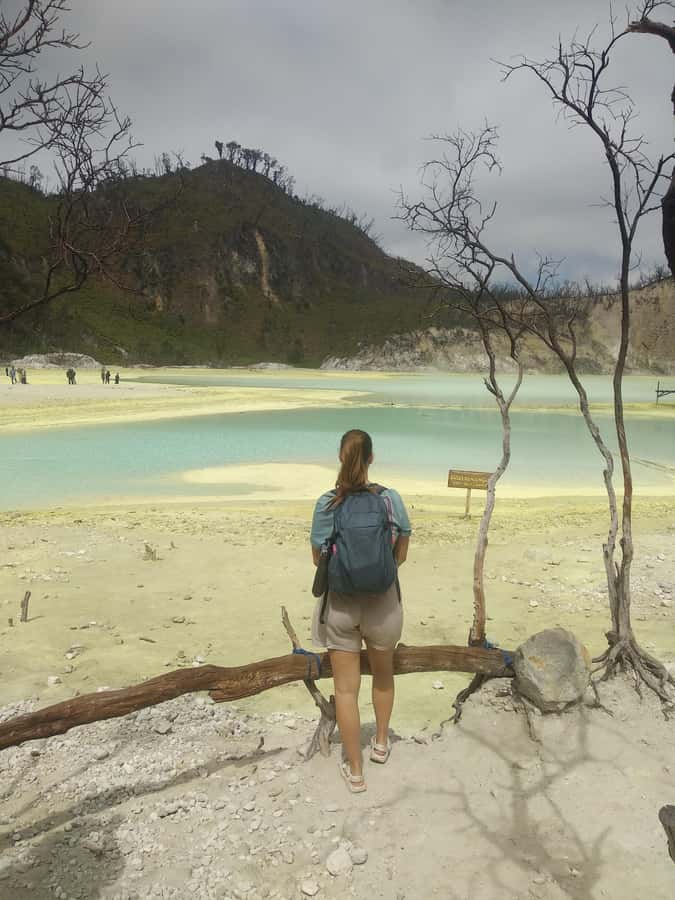Bandung : White Crater, Tea Plantation Tour Guide Bandung - Is $57 per person good value?