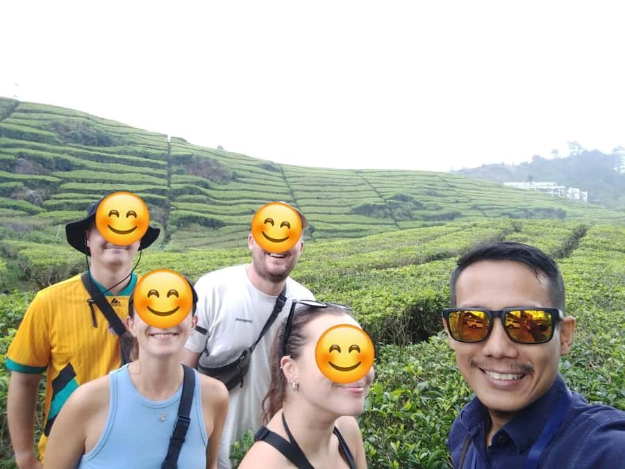 Bandung: White Crater Volcano Guided Day Trip - Tea plantations slow the pace