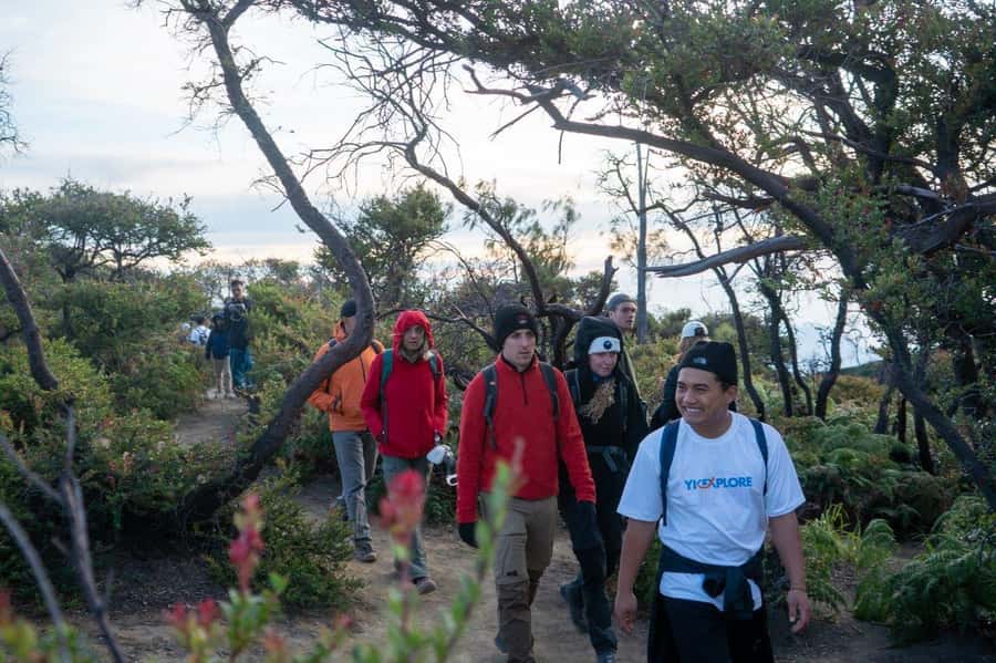 Banyuwangi/Bali: Ijen Crater Blue Fire & Sunrise Guided Tour - Seeing the sulfur miners at work
