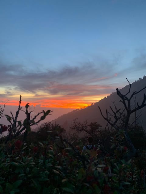 Banyuwangi/Bali: Ijen Volcano Midnight Blue Fire Guided Tour - Who will enjoy this hike most