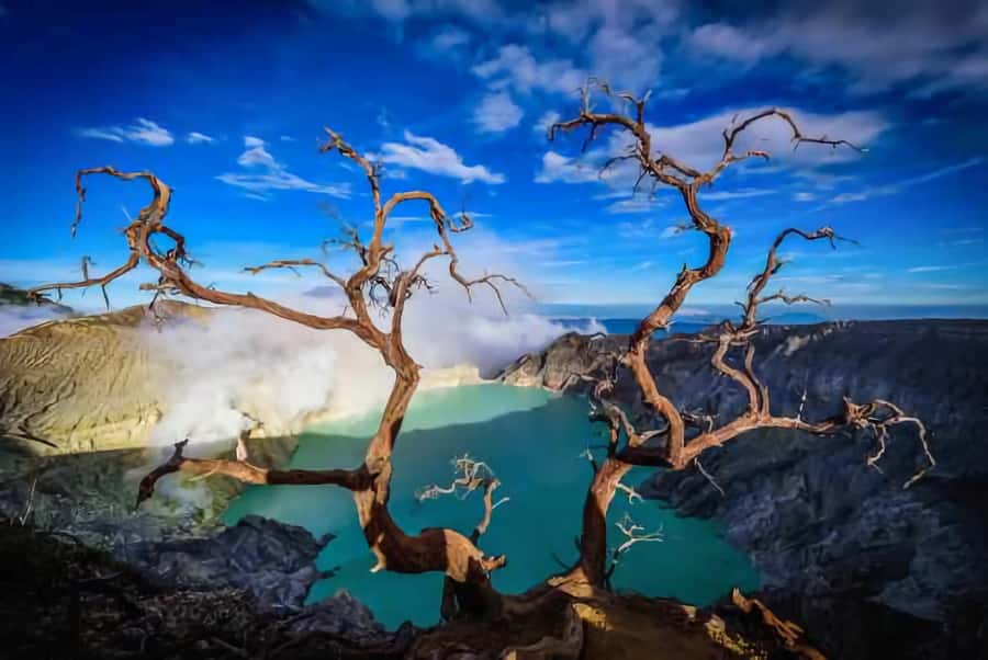 Banyuwangi: Ijen Blue Fire Tour with Transfer Services - A midnight pickup from five Banyuwangi locations