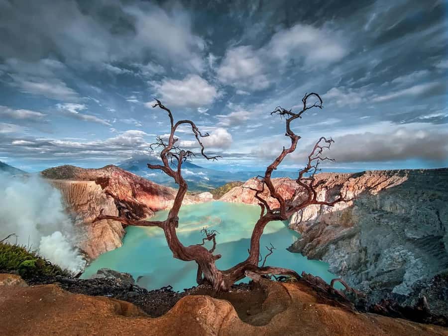 Banyuwangi : Mt Ijen with tour guide and Transfer Service - Why the blue fire makes this night hike special