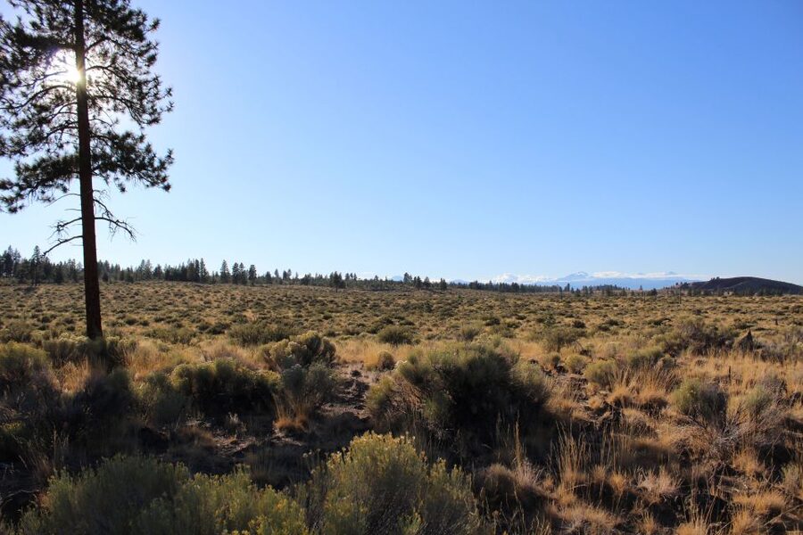 Bend: Half-Day Lava Tube Cave Tour - Who will enjoy this Bend cave tour?
