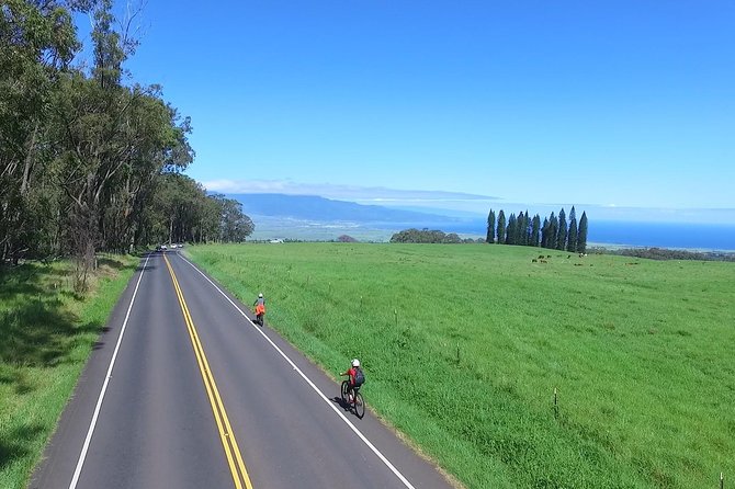 Best Haleakala Downhill Self-Guided Bike Tour with Maui Sunriders - Why the first downhill section needs attention