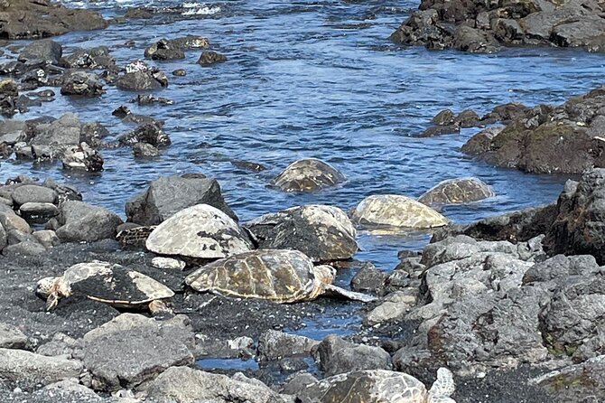 Best of Big Island: Volcanoes, Waterfall, Blacksand Beach & Lunch - Liliʻuokalani Gardens adds a quiet Hilo pause