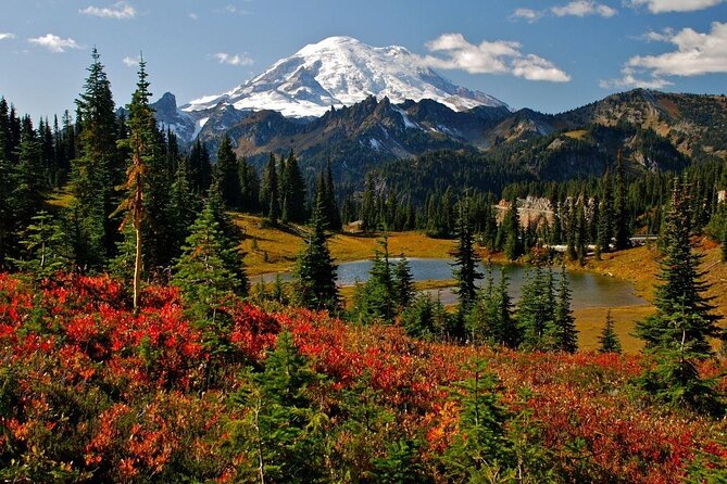 Best of Mount Rainier National Park from Seattle: All-Inclusive Small-Group Tour - Key things to know before booking