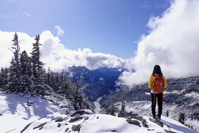 Best of Mount Rainier National Park from Seattle: All-Inclusive Small-Group Tour - Three hours around Paradise