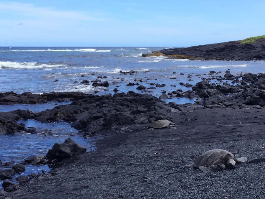 Big Island: Evening Volcano Explorer From Kona or Kohala - Punaluʻu Bake Shop and the southern stop
