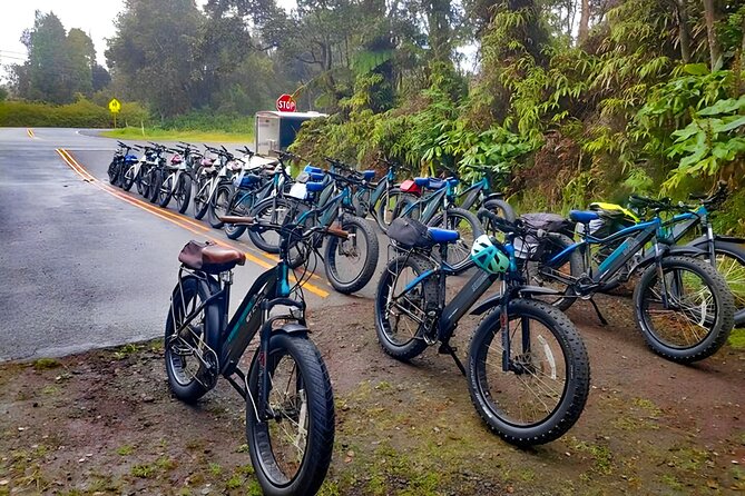 Big Island: Fat Tire E-Bike Tour through Volcanoes National Park - The lava tube walk