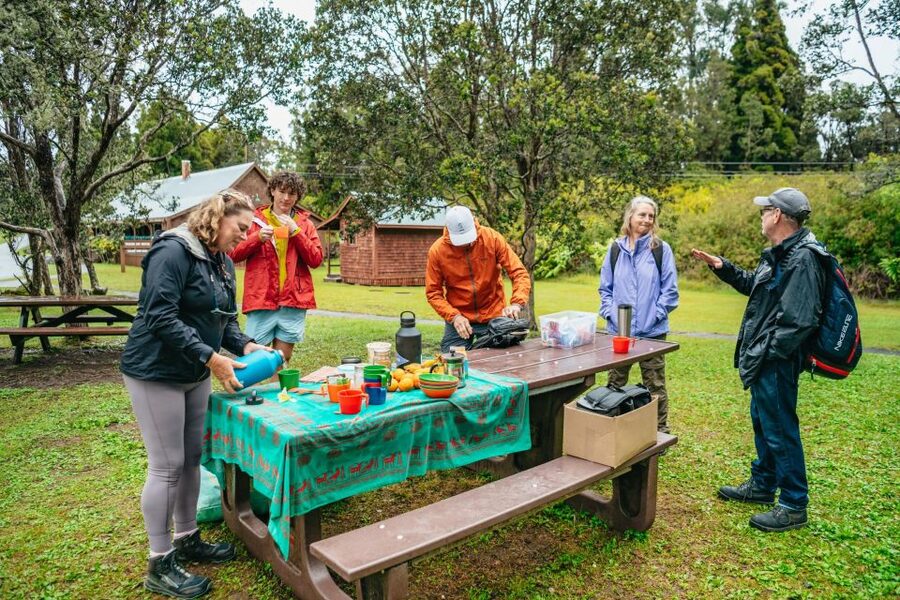 Big Island: Hawai'i Volcanoes National Park Guided Hike - Who should book this hike?