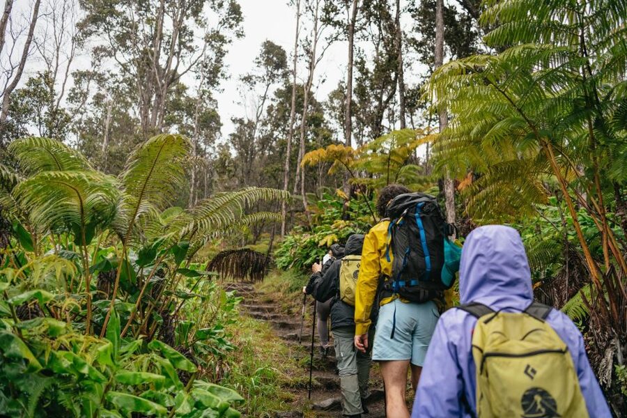 Big Island: Hawai'i Volcanoes National Park Guided Hike - Through rainforest and native Hawaiian forest